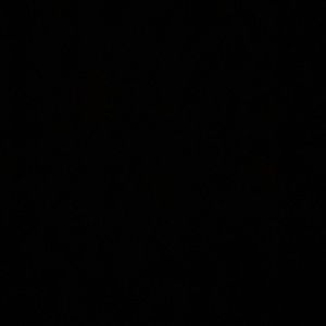 Meet your Posher, Jaylah